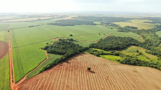 Fazenda/Sítio à venda, 40m² no , Edéia