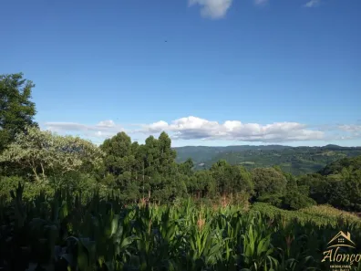 Lote/Terreno à venda, 4m² no Pinhal Alto, Nova Petrópolis