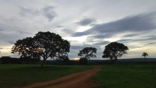 Fazenda/Sítio com 2 Quartos à venda, 28000000m² no Bezerra, Formosa