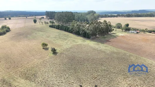 Fazenda/Sítio com 1 Quarto à venda, 245630m² no Área Rural de Itapetininga, Itapetininga