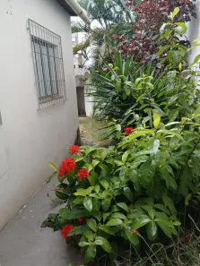 Casa com 2 Quartos para alugar, 50m² no Campo Grande, Cariacica