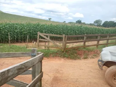 Fazenda/Sítio com 4 Quartos à venda, 100m² no , Cunha