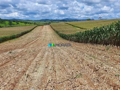 Fazenda/Sítio com 1 Quarto à venda, 248m² no , Esmeraldas