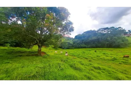 Lote/Terreno à venda, 48400m² no ORATORIO, Socorro
