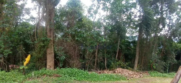 Lote/Terreno à venda, 1480m² no Cumbari, Mairiporã