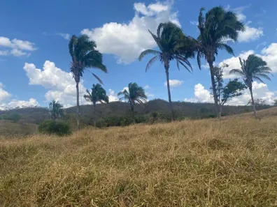 Fazenda/Sítio com 4 Quartos à venda, 10m² no zona rural, Santa Cruz de Goiás