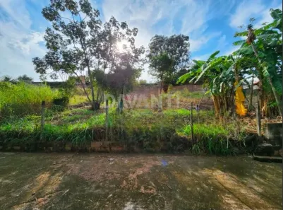 Lote/Terreno à venda, 336m² no Jardim das Paineiras, Campinas