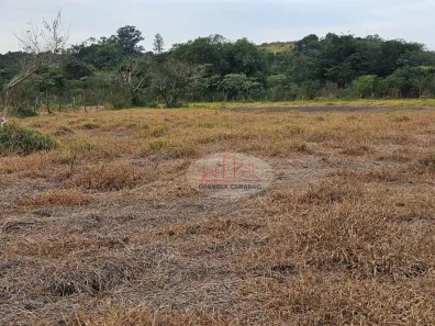 Lote/Terreno à venda, 5200m² no Floresta Escura II, São Pedro