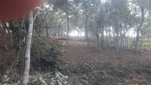 Lote/Terreno à venda, 1196m² no , Santo Antônio do Pinhal
