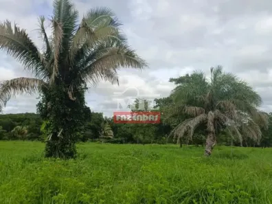 Fazenda/Sítio à venda, 500m² no , Matrinchã