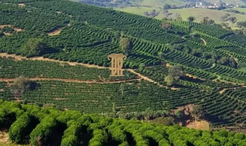 com 1 Quarto à venda, 126m² no , São Lourenço