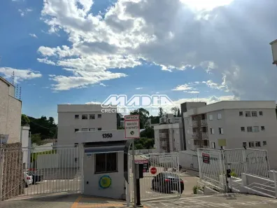 Apartamento com 2 Quartos à venda, 49m² no Santa Claudina, Vinhedo