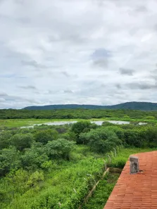 Fazenda/Sítio com 6 Quartos à venda, 31000m² no Centro, Patos