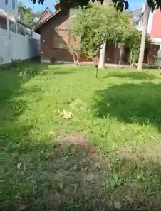 Casa com 2 Quartos à venda, 360m² no Barra da Lagoa, Florianópolis