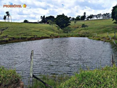 Fazenda/Sítio com 3 Quartos à venda, 169400m² no , Conchas