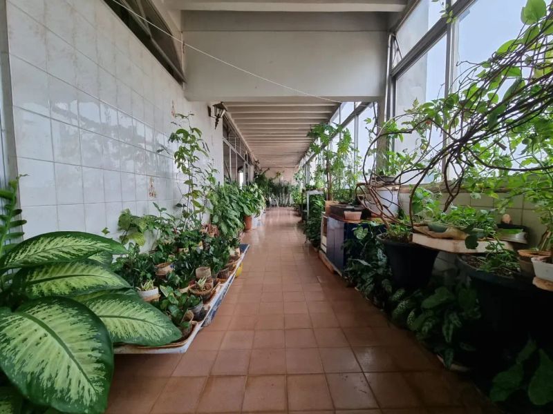 Foto 69
