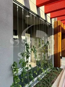 Apartamento com 2 Quartos à venda, 54m² no Ipiranga, São Paulo