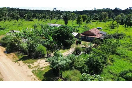 Fazenda/Sítio com 4 Quartos à venda, 85m² no , Vale do Anari