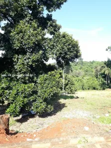 Lote/Terreno à venda, 5000m² no Brasília, Londrina