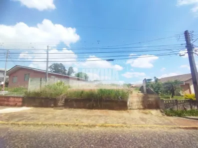 Lote/Terreno à venda, 565m² no Colônia Dona Luíza, Ponta Grossa