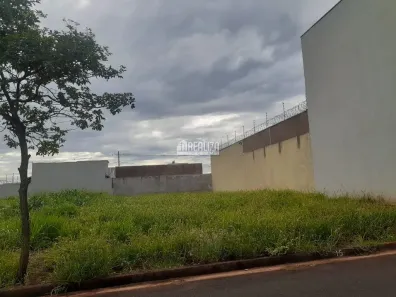 Lote/Terreno à venda, 250m² no Conjunto Habitacional Ubaldo Faggioni, Igarapava