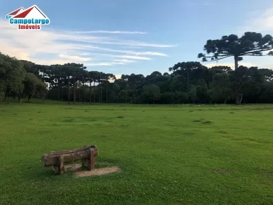 Lote/Terreno à venda, 32697m² no Jardim Céu Azul, Campo Largo