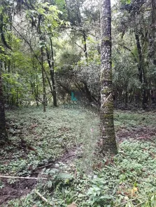 Fazenda/Sítio à venda, 1m² no , Marmelópolis