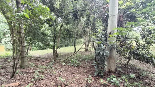 Lote/Terreno à venda, 1000m² no Jardim Abadia, Louveira