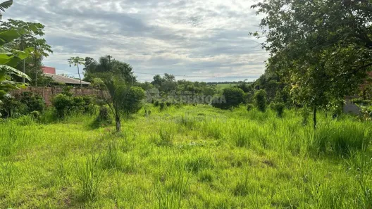 Fazenda/Sítio à venda, 1300m² no São Luiz I (Talhado), São José do Rio Preto