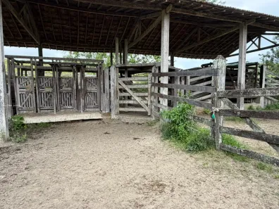 Fazenda/Sítio à venda, 871200m² no São Vicente de Paula, Araruama