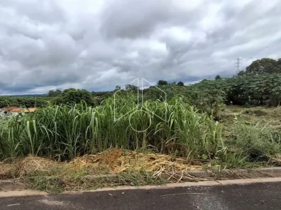 Lote/Terreno à venda, 198m² no Jardim Universitário, Marília