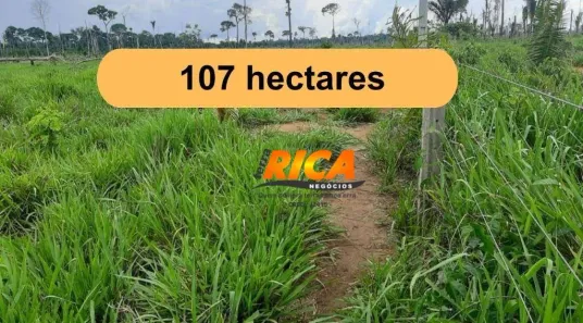 Fazenda/Sítio à venda, 1070000m² no , Nova Mamoré
