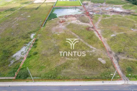 Lote/Terreno para alugar, 30816m² no Ipê, São José dos Pinhais