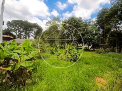 Lote/Terreno à venda, 267m² no Jardim das Palmeiras (Zona Sul), São Paulo