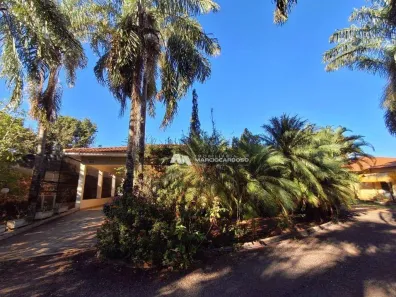 Fazenda/Sítio com 3 Quartos à venda, 450m² no Estância Sossego (Zona Rural), São José do Rio Preto