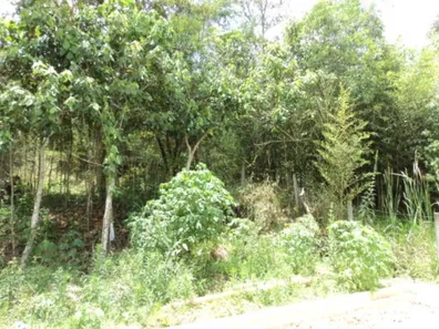 Lote/Terreno à venda, 209m² no Paisagem Casa Grande, Cotia