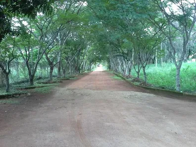 Lote/Terreno à venda, 1000m² no Balneário Quintas do Lago, Cláudio