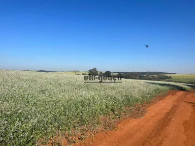 Fazenda/Sítio à venda, 3146000m² no Jardim Ubirama, Lençóis Paulista