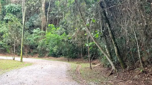 Lote/Terreno à venda, 1200m² no Caraguatá, Mairiporã