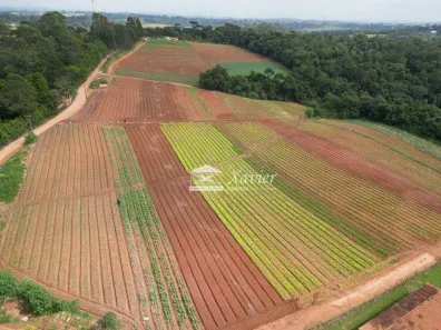 Lote/Terreno à venda, 61000m² no , Ibiúna