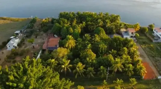 Fazenda/Sítio com 3 Quartos à venda, 5000m² no Pureza, São Fidélis
