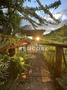 Fazenda/Sítio com 4 Quartos à venda, 240m² no Inácia de Carvalho, São José da Lapa