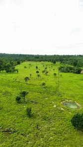 Fazenda/Sítio com 2 Quartos à venda, 180000m² no Área Rural de Porto Velho, Porto Velho