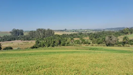 Fazenda/Sítio com 1 Quarto à venda, 133100m² no Área Rural de Tatuí, Tatuí