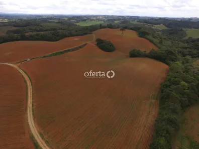 Fazenda/Sítio à venda, 459800m² no Porto das Laranjeiras, Araucária