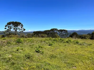 Fazenda/Sítio com 1 Quarto à venda, 20000m² no , Urubici