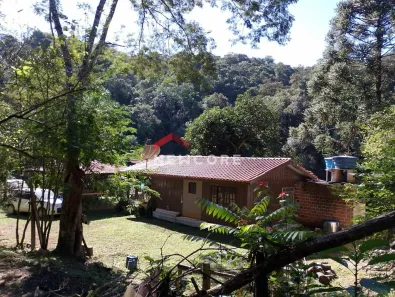 Fazenda/Sítio com 3 Quartos à venda, 28000m² no Morro Da Palha, Campo Magro