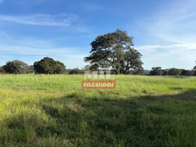 Fazenda/Sítio à venda, 1m² no Setor Nossa Senhora Aparecida, Mineiros