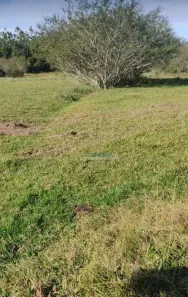 Lote/Terreno à venda, 1250m² no Itacolomi, Gravataí