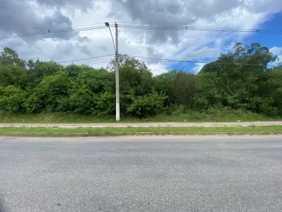 Lote/Terreno à venda, 7000m² no Três Vendas, Pelotas